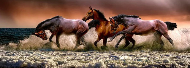 Be a Maverick and Get Ahead of the Crowd